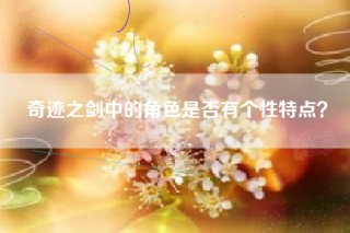 奇迹之剑中的角色是否有个性特点？