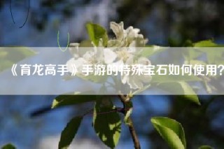 《育龙高手》手游的特殊宝石如何使用？