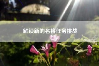 解锁新的名将任务挑战