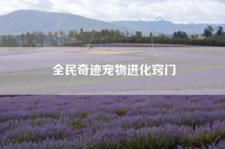 全民奇迹宠物进化窍门