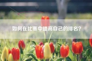 如何在比赛中提高自己的排名？