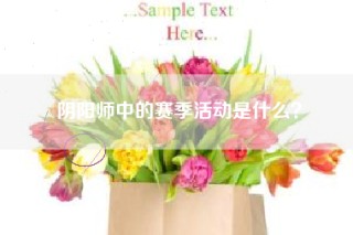 阴阳师中的赛季活动是什么？