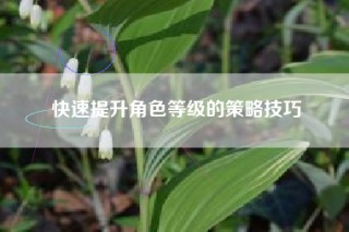 快速提升角色等级的策略技巧