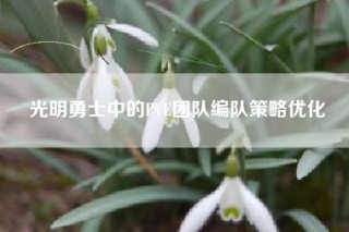 光明勇士中的PVE团队编队策略优化
