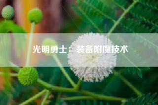 光明勇士：装备附魔技术