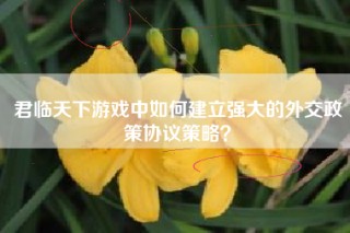 君临天下游戏中如何建立强大的外交政策协议策略？