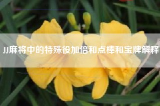 JJ麻将中的特殊役加倍和点棒和宝牌解释
