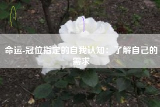 命运-冠位指定的自我认知：了解自己的需求