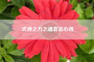 式神之力之魂套装心得