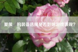 夏侯惇的装备选择是否影响游戏表现？
