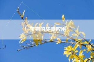 宝物的战略应用