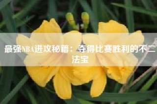 最强NBA进攻秘籍：夺得比赛胜利的不二法宝