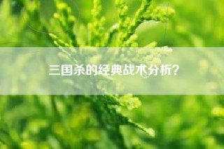 三国杀的经典战术分析？