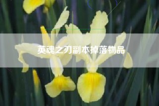英魂之刃副本掉落物品
