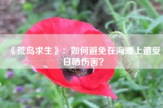 《荒岛求生》：如何避免在海滩上遭受日晒伤害？