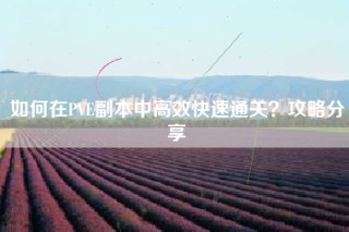 如何在PVE副本中高效快速通关？攻略分享