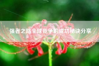 强者之路全球竞争的成功秘诀分享