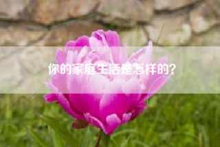 你的家庭生活是怎样的？