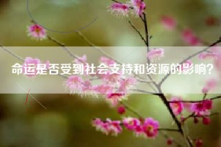 命运是否受到社会支持和资源的影响？
