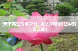 天下高空滑索攻略：挑战刺激的空中滑索之旅！