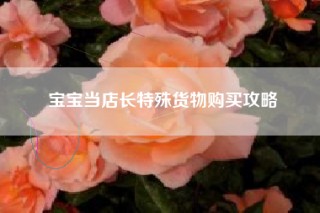 宝宝当店长特殊货物购买攻略