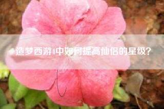 造梦西游4中如何提高仙侣的星级？