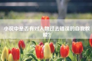 小说中是否有对人物过去错误的自我救赎？