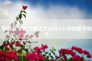 如何在《暴力魔托大作战10》中快速升级？