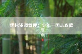 优化资源管理：少年三国志攻略