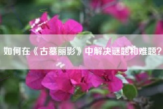 如何在《古墓丽影》中解决谜题和难题？