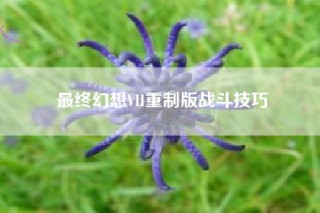 最终幻想VII重制版战斗技巧