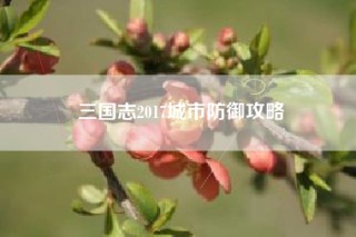 三国志2017城市防御攻略