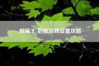 航海王-启航游戏设置攻略