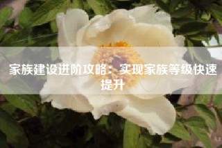 家族建设进阶攻略：实现家族等级快速提升