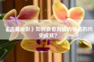《古墓丽影》如何查看游戏内物品的历史成就？