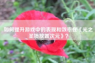 如何提升游戏中的表现和效率在《光之圣境放置次元》？