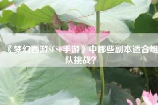 《梦幻西游SFSF手游》中哪些副本适合组队挑战？