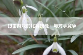 扫雷游戏的比赛技能：与对手竞争