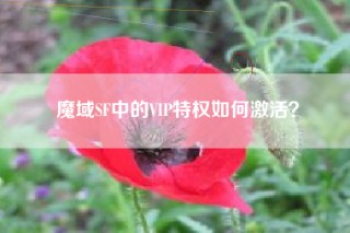 魔域SF中的VIP特权如何激活？