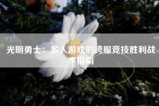 光明勇士：多人游戏的跨服竞技胜利战术指南