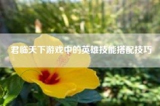 君临天下游戏中的英雄技能搭配技巧