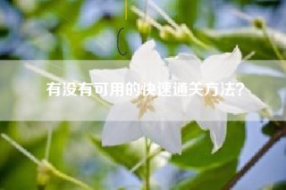 有没有可用的快速通关方法？