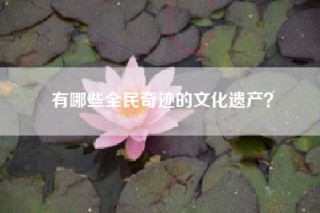 有哪些全民奇迹的文化遗产？