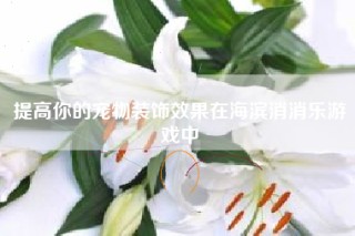 提高你的宠物装饰效果在海滨消消乐游戏中