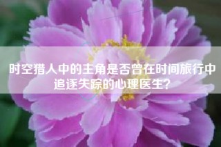 时空猎人中的主角是否曾在时间旅行中追逐失踪的心理医生？