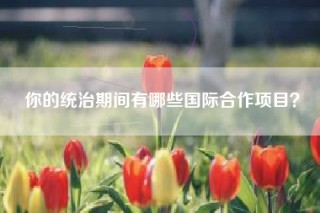 你的统治期间有哪些国际合作项目？