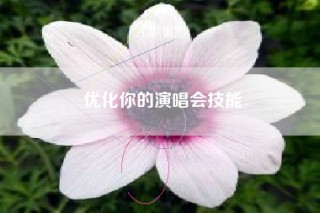 优化你的演唱会技能