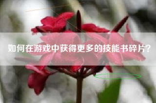 如何在游戏中获得更多的技能书碎片？