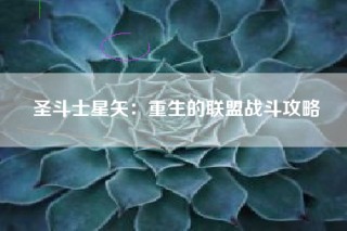 圣斗士星矢：重生的联盟战斗攻略