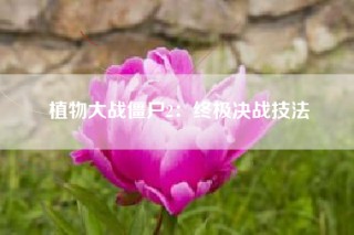 植物大战僵尸2：终极决战技法